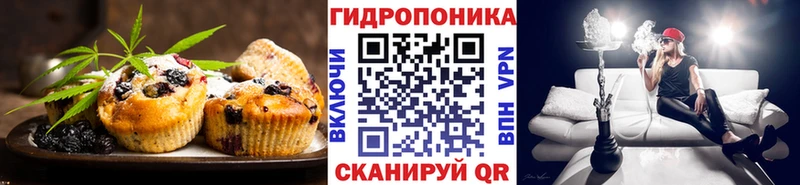 мега tor  Новое Девяткино  Еда ТГК марихуана 