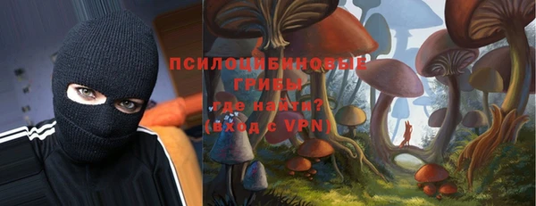 spice Чекалин