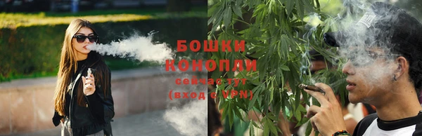 крисы Чердынь
