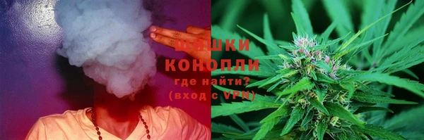 крисы Чердынь