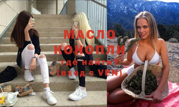 крисы Чердынь