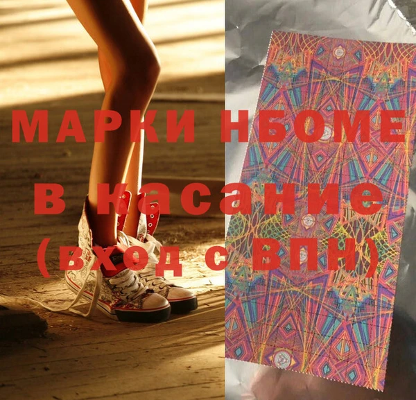 крисы Чердынь