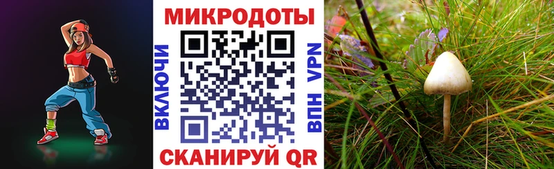 цена наркотик  Новое Девяткино  Псилоцибиновые грибы GOLDEN TEACHER 